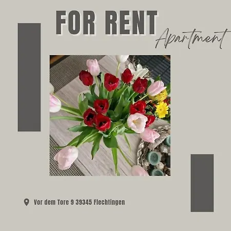 Apartmán Kleine Zum Wohlfuhlen Flechtingen